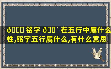 🐈 铭字 🐴 在五行中属什么属性,铭字五行属什么,有什么意思